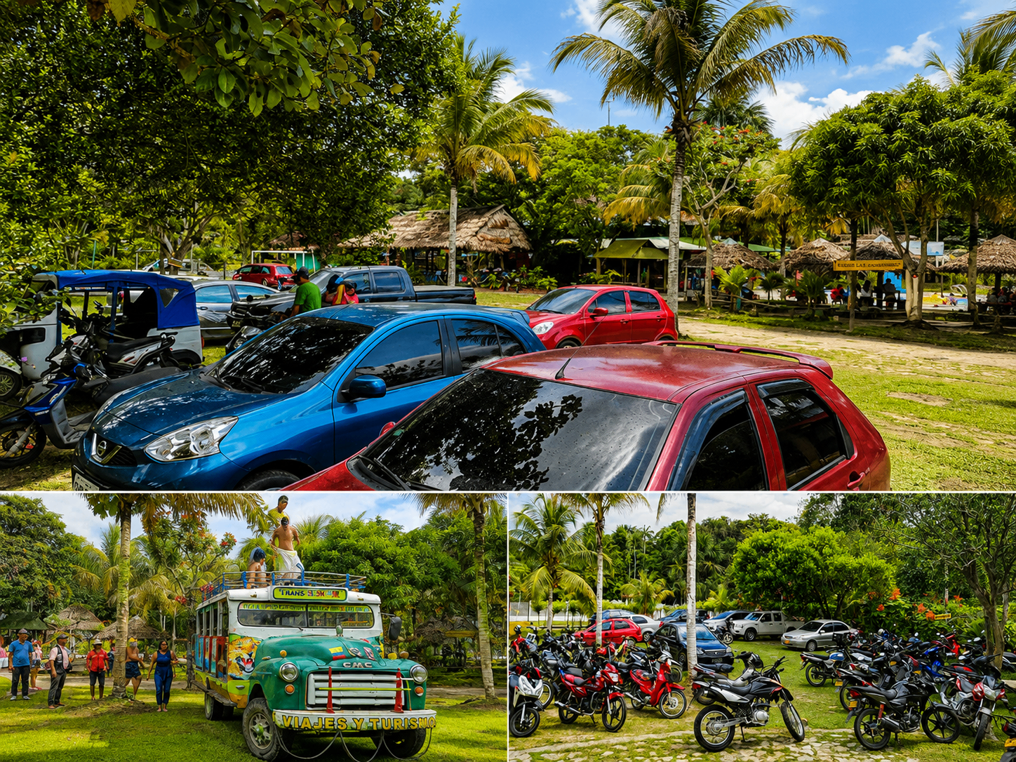 Amplios parqueaderos rodeados de palmeras