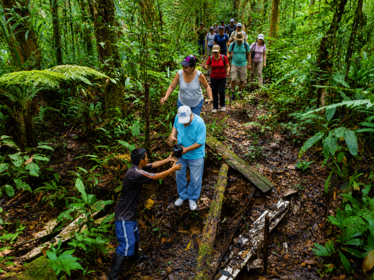 Caminata guiada por el sendero tropical