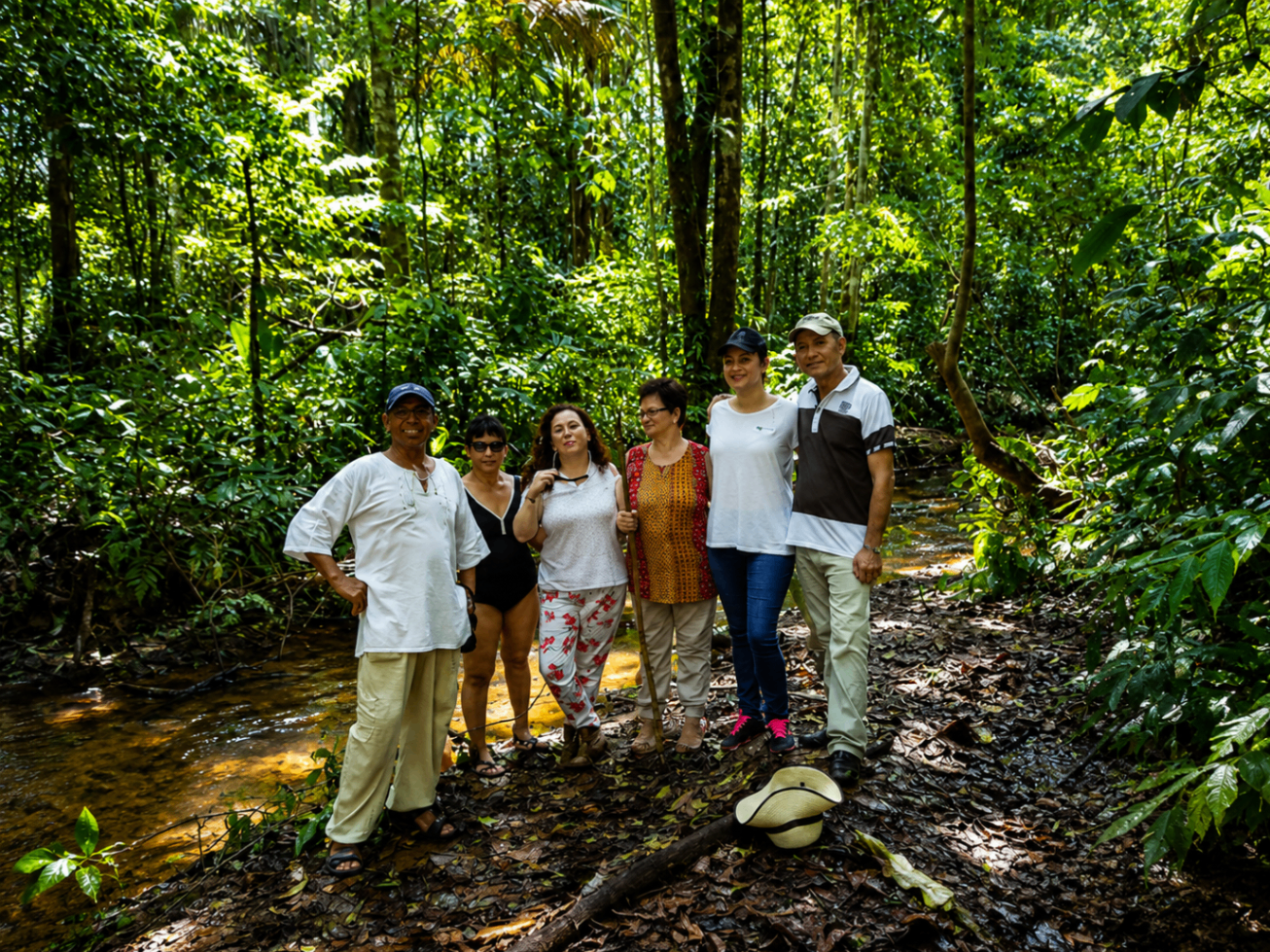 Excursión en la selva tropical