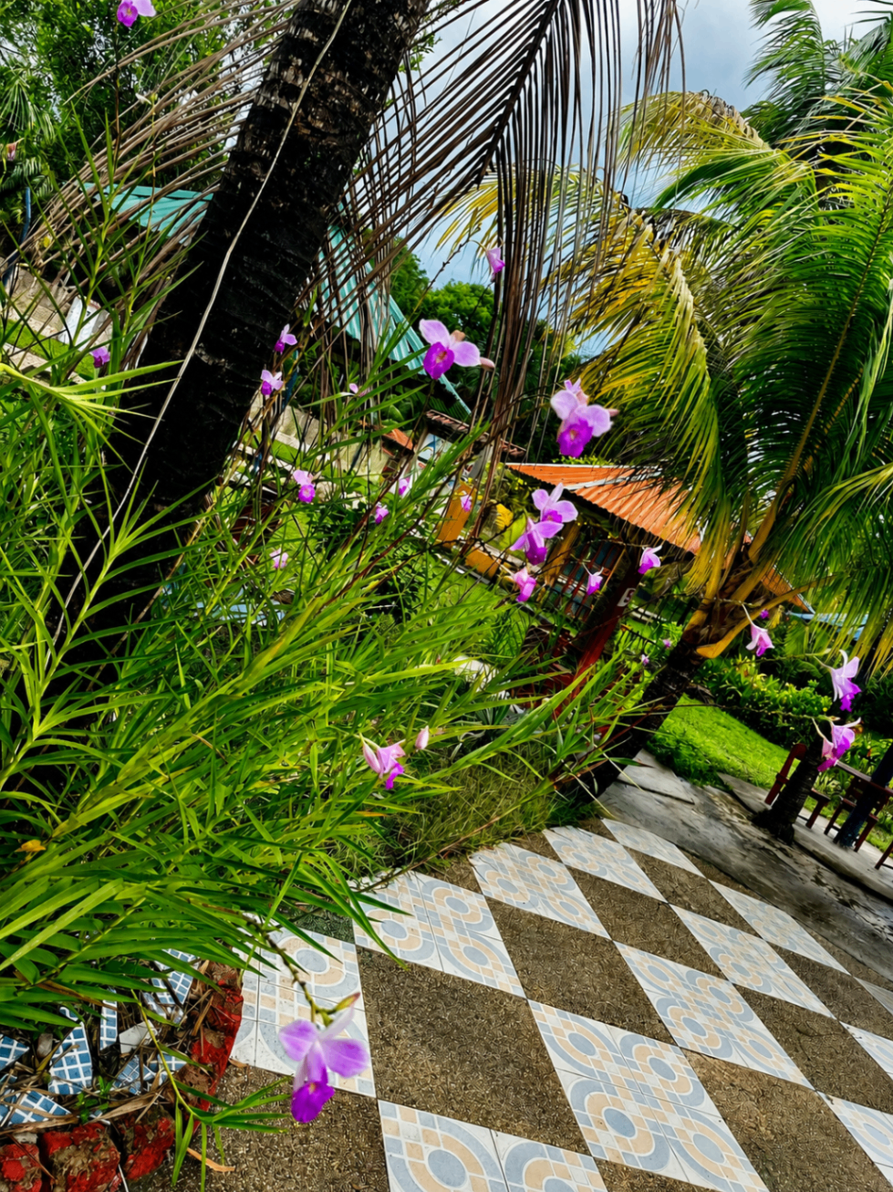 Jardín tropical con orquídeas vibrantes